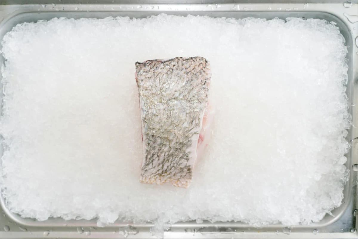 Frozen Fish
